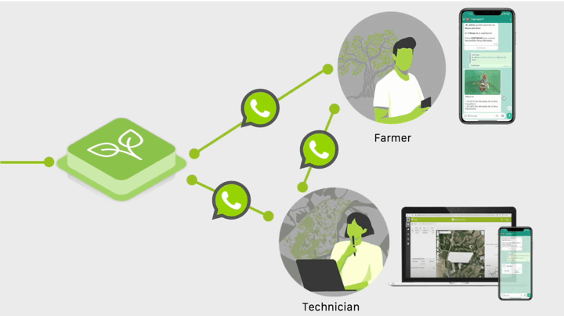 Video Graphical display of medical data