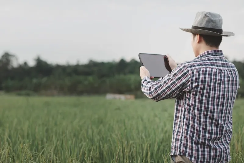 Video AI Computer Vision Solution for Smart Agriculture