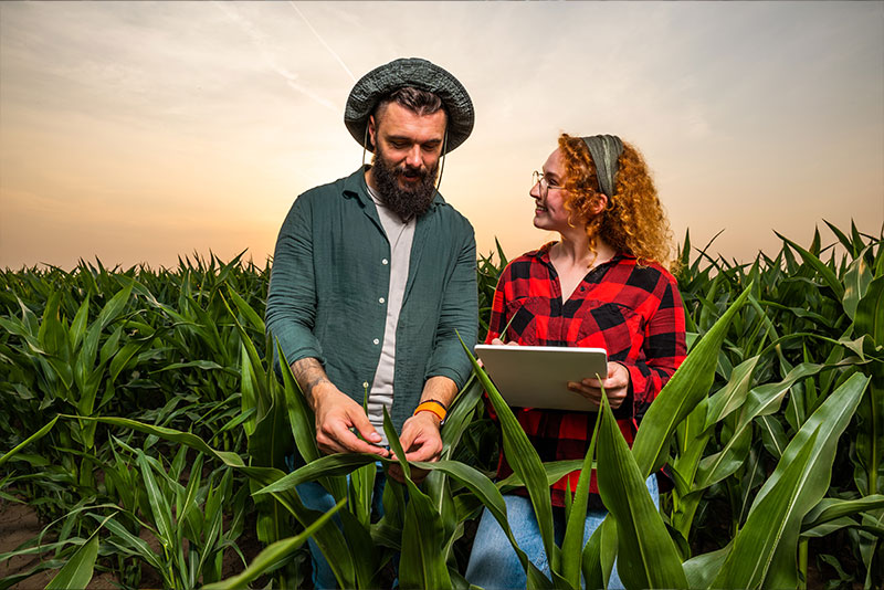 Smart Agricultural Transformation