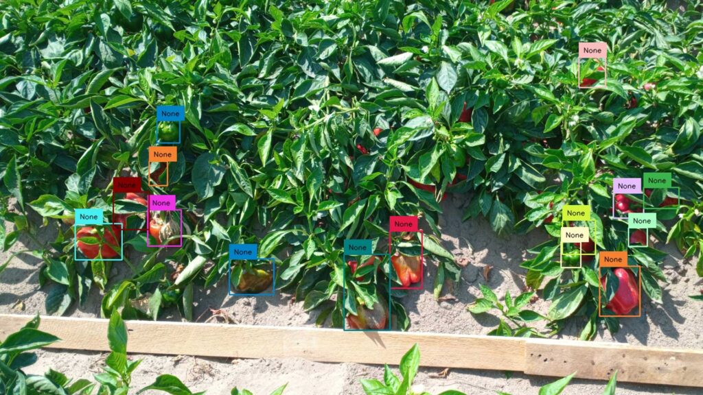 AgriFood Producer