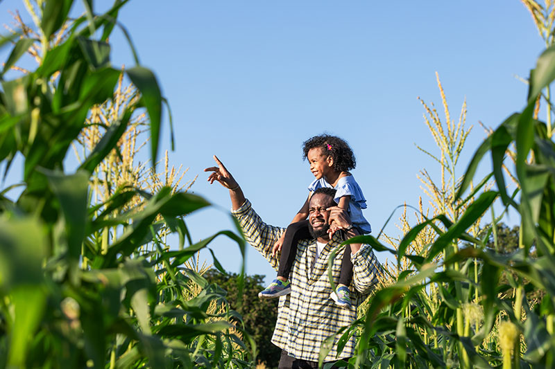 Agricultural Transformation in Africa