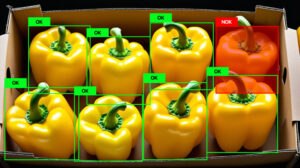 Streamlining Visual Tasks with Automation